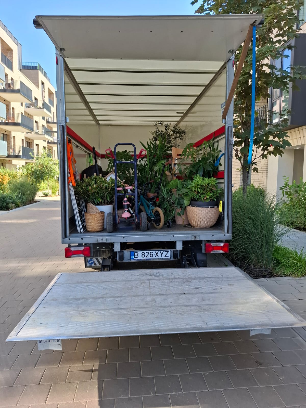 ALO AXYZ  - Transport și Logistică din Sector 6