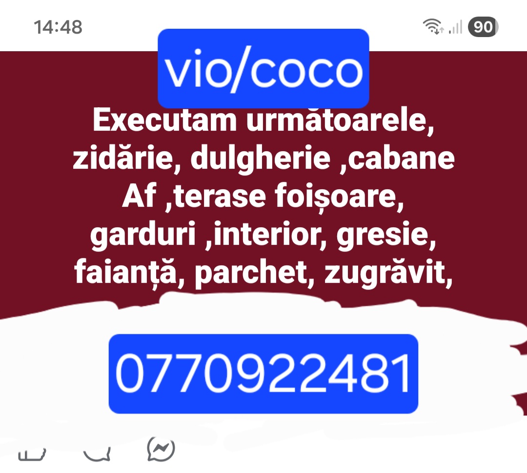 Viorel cocos  - Construcții din Bistriţa