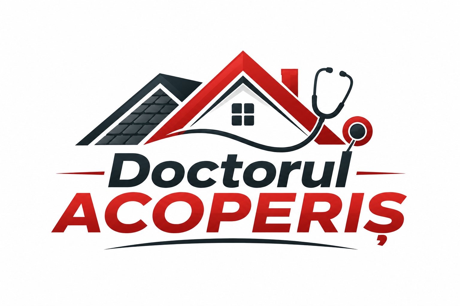 Daniel acoperisuri
